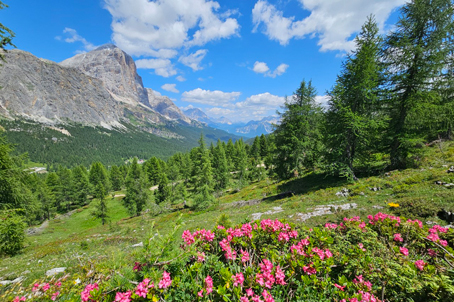 해바라기와 함께하는 한 폭의 수채화 같은 풍경속 꿈과 같은 여행 돌로미테 11일