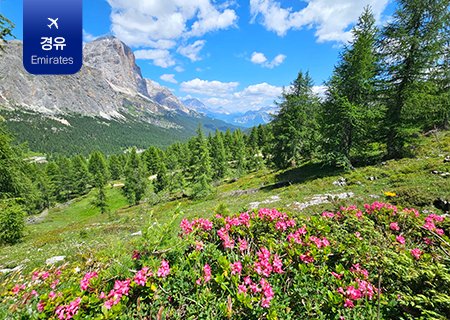 해바라기와 함께하는 한 폭의 수채화 같은 풍경속 꿈과 같은 여행 돌로미테 11일